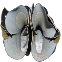 USGI Military Mickey Mouse Boots No Valve 9W Unissued Out Of Box From 1955
